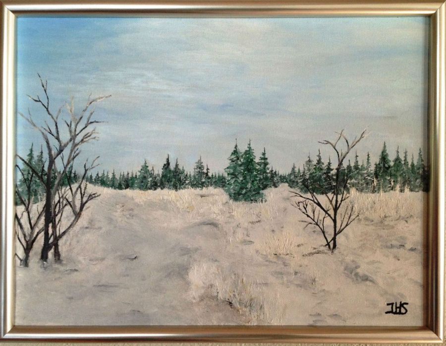 Jeanette Hougaard Midtjysk vinterlandskab