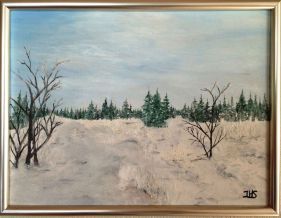 Jeanette Hougaard Midtjysk vinterlandskab